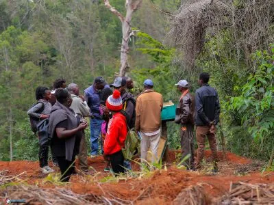 Bee Education Outreach
