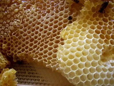 Bee Wax