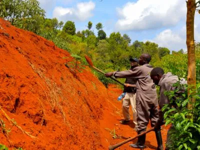 farm standard service