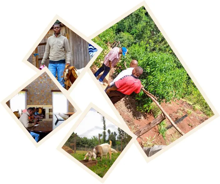 Outgrowers and Partnership